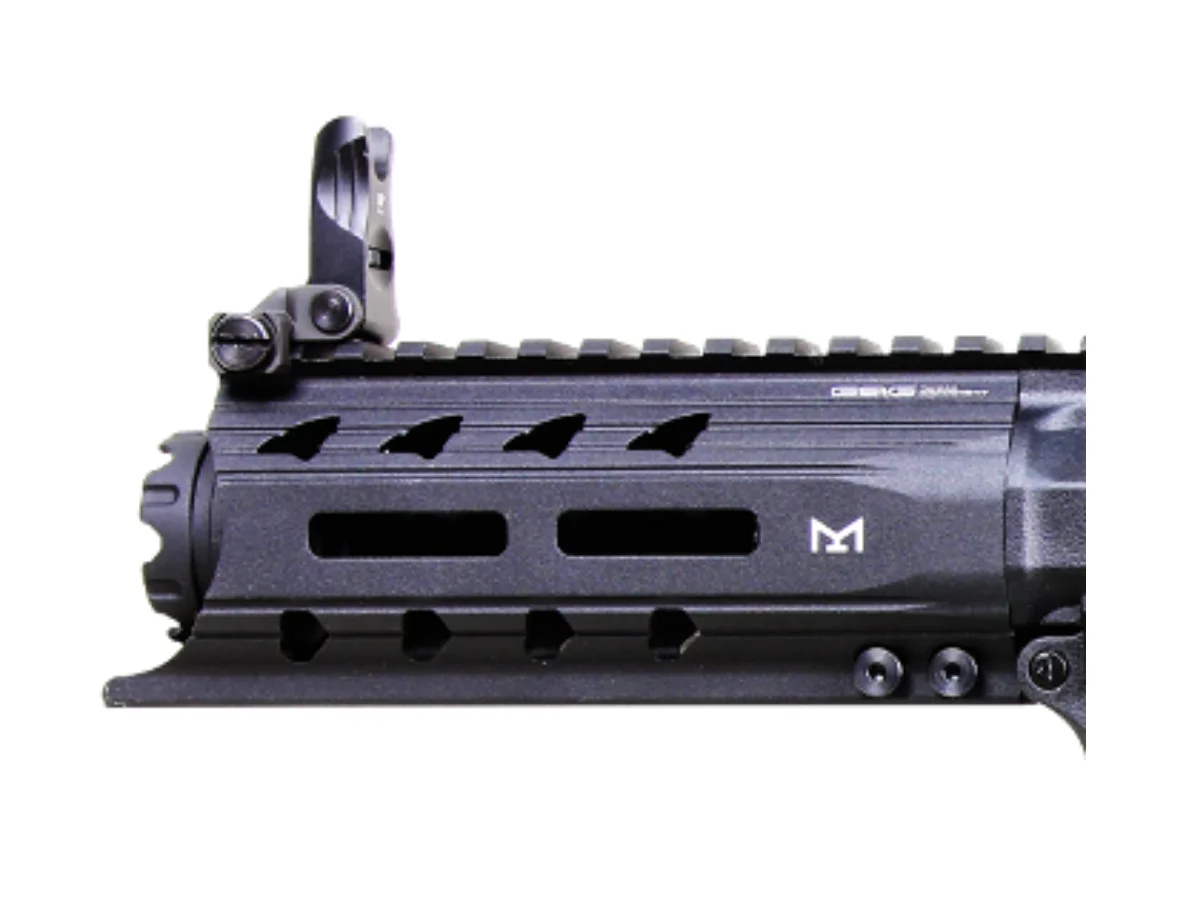 G&G ARP 556 V2S 6